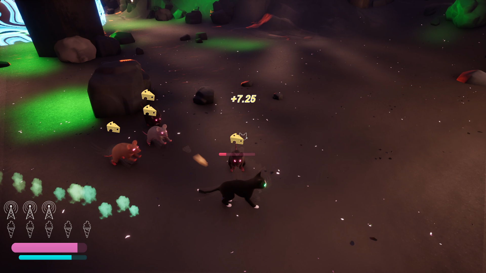 rats fighting player