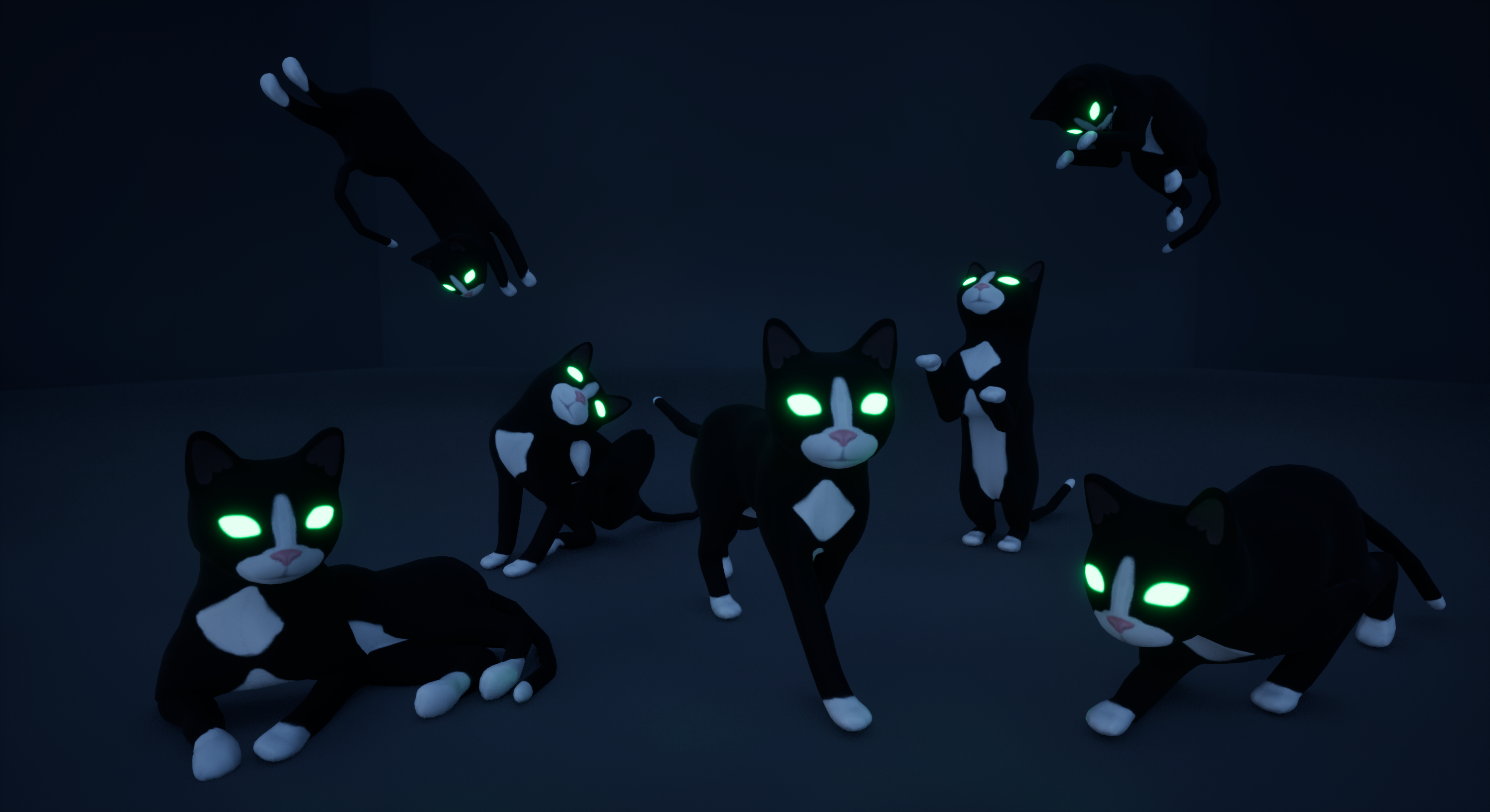 Cat in the Dark