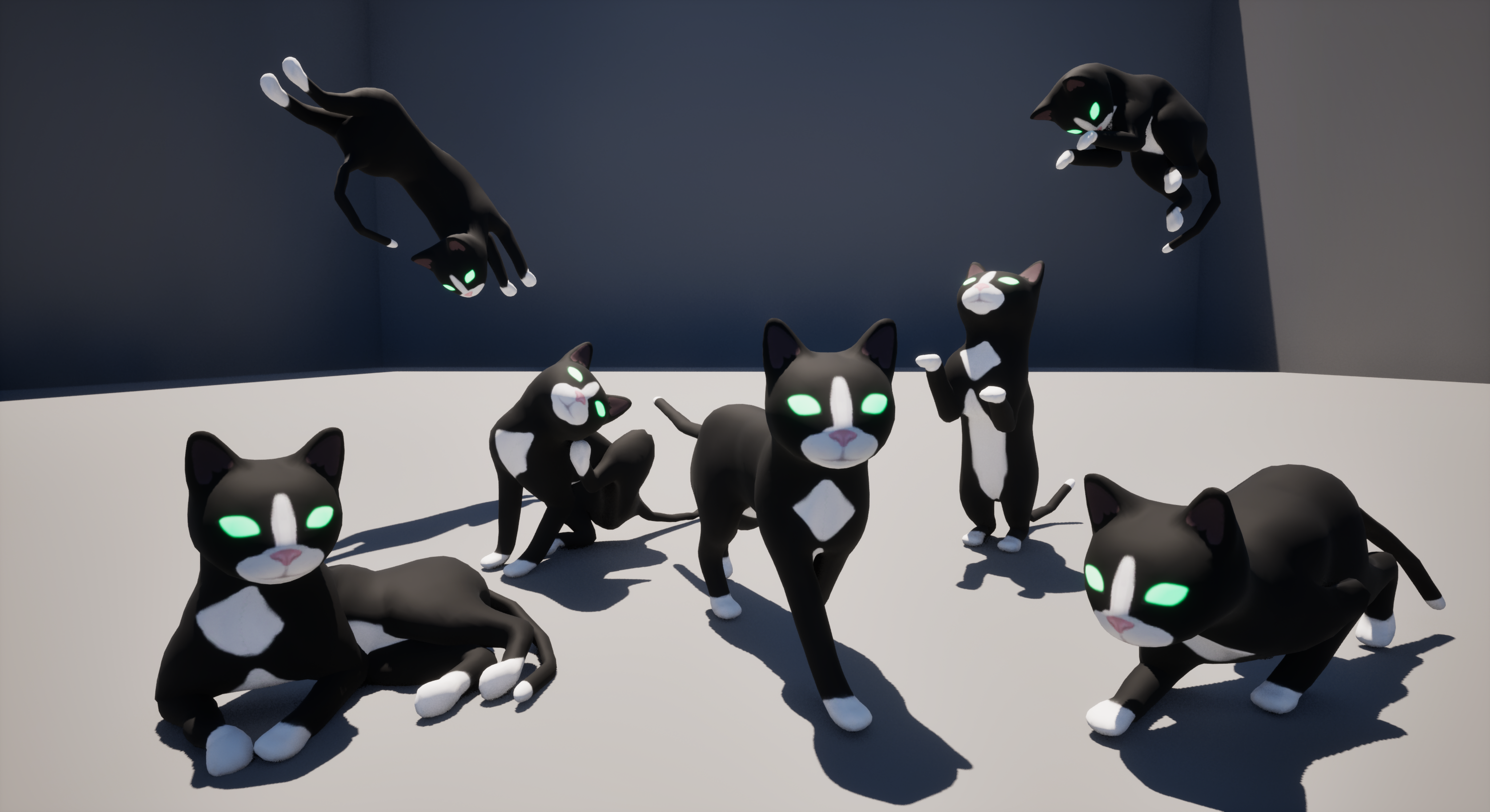 Cat model