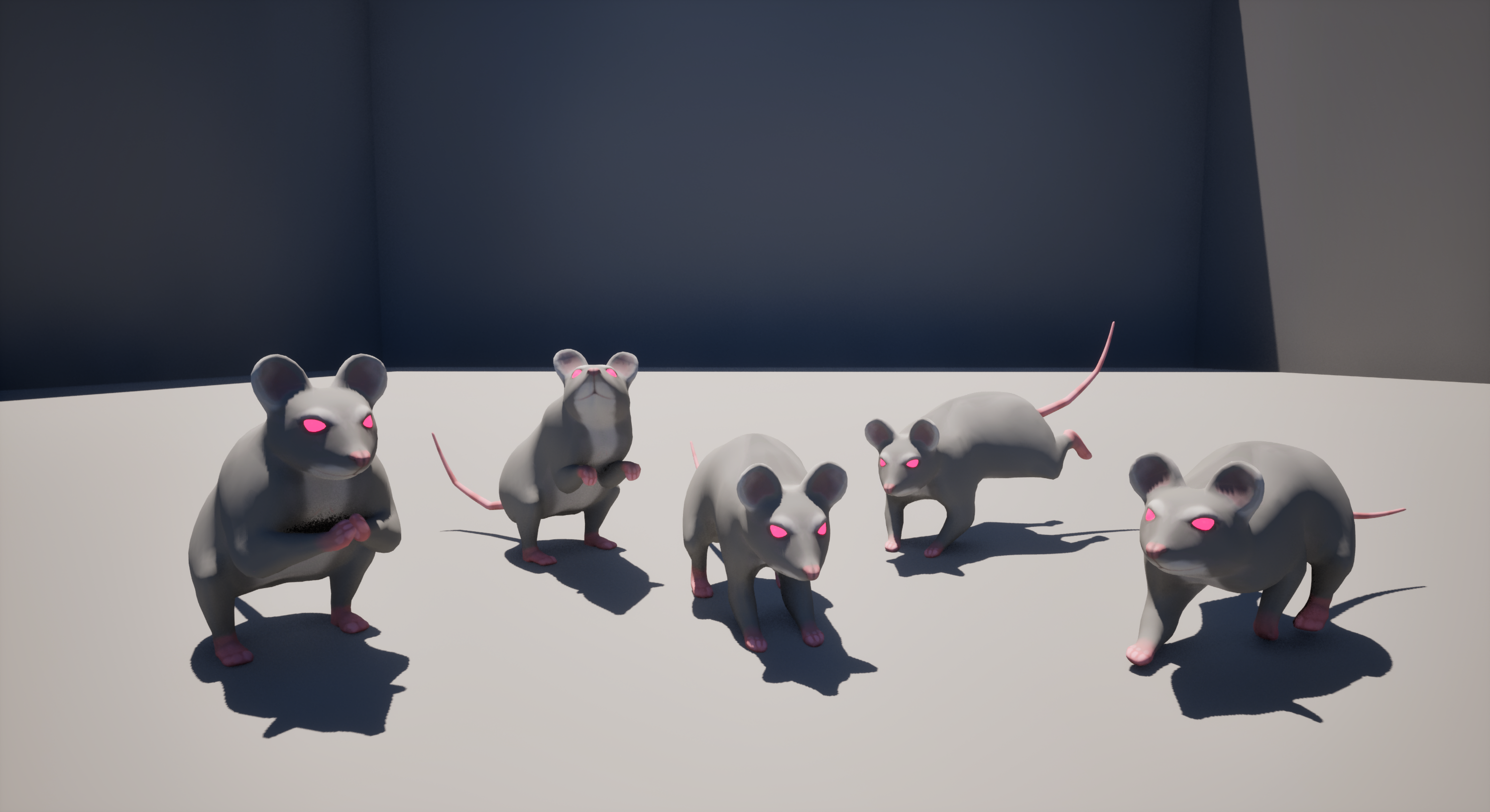 rat model