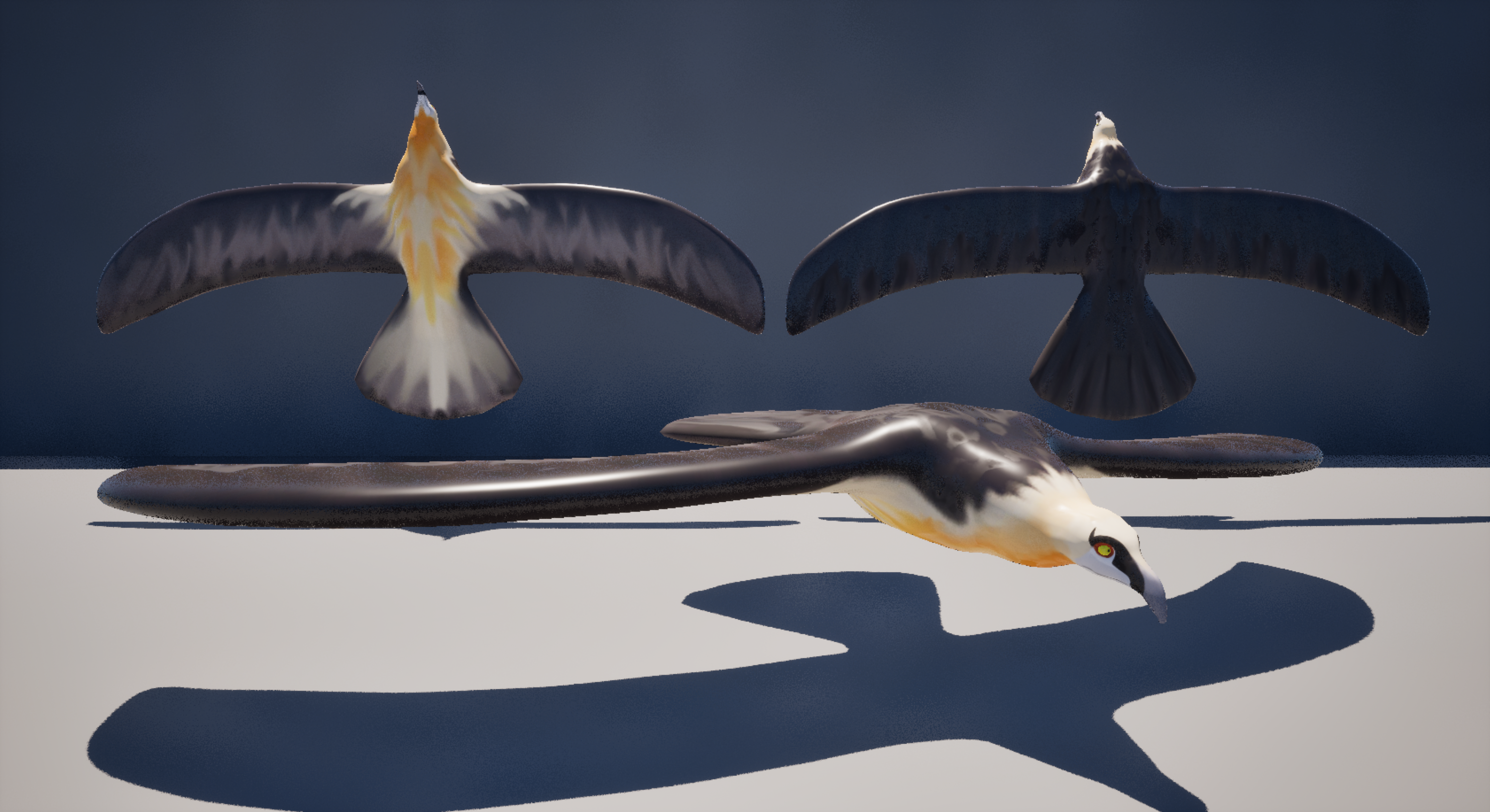 vulture model